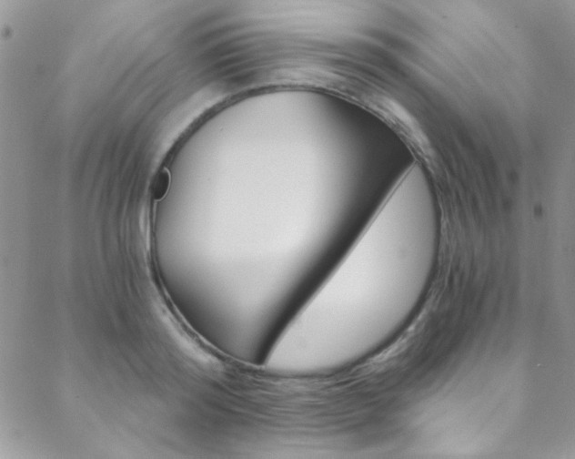X0000088840796200706071149