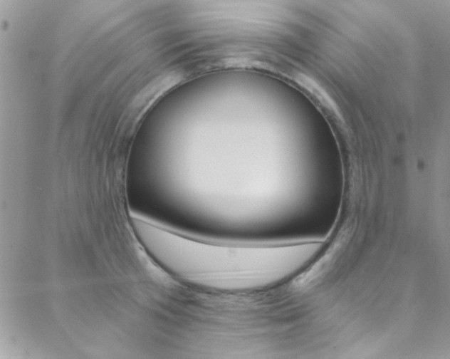 X0000088840801200706071149