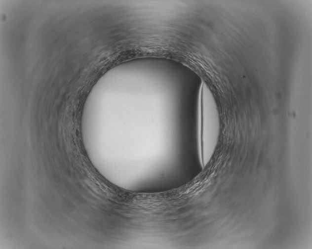 X0000088840817200706071148