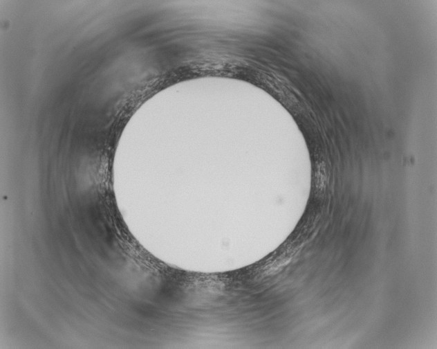 X0000088840820200706071148