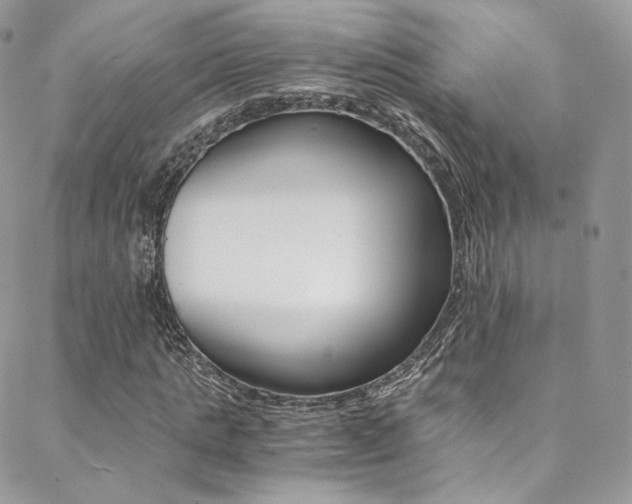 X0000088840821200706071148