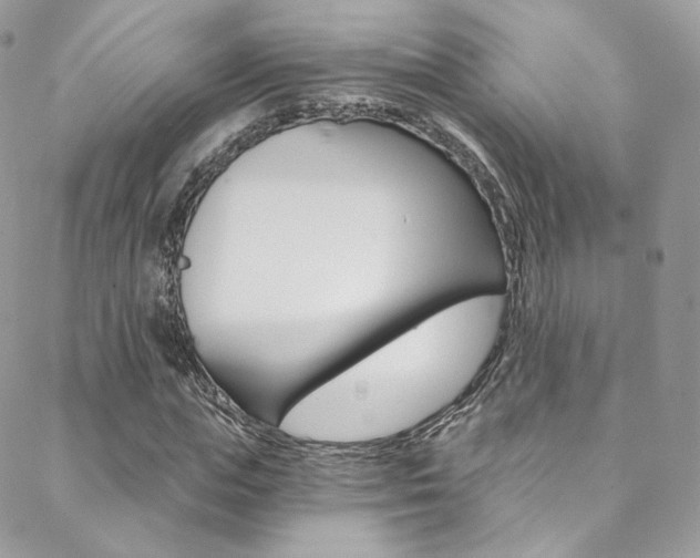 X0000088840823200706071148