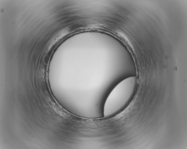 X0000088840827200706071148