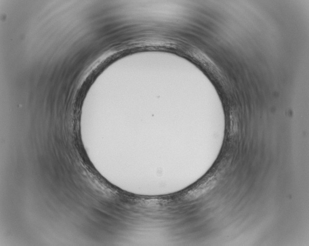 X0000088840828200706071148