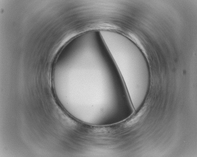 X0000088840843200706071149