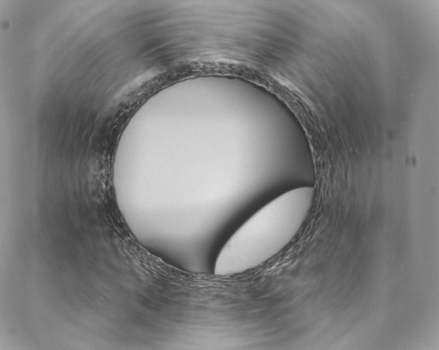 X0000088840870200706071148