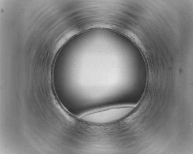X0000088840898200706071148
