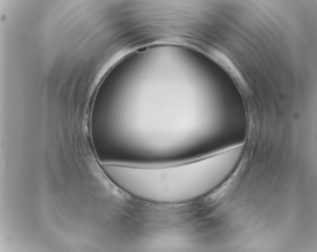 X0000088840908200706071147