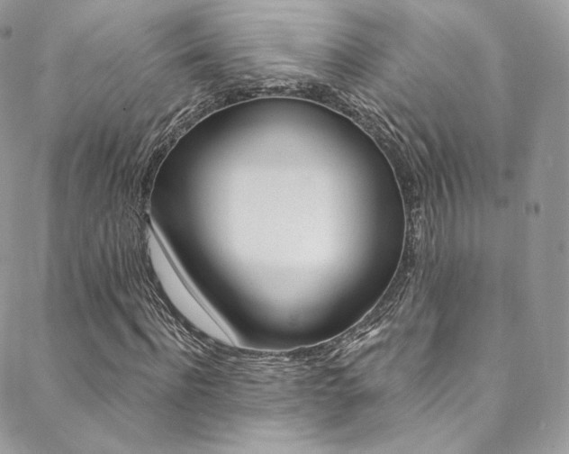X0000088840916200706071147