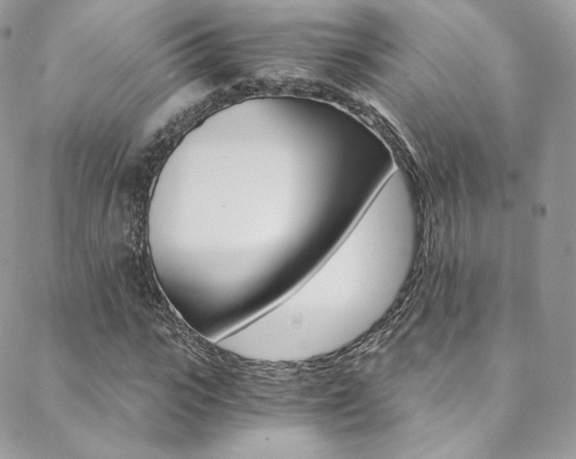 X0000088840919200706071147