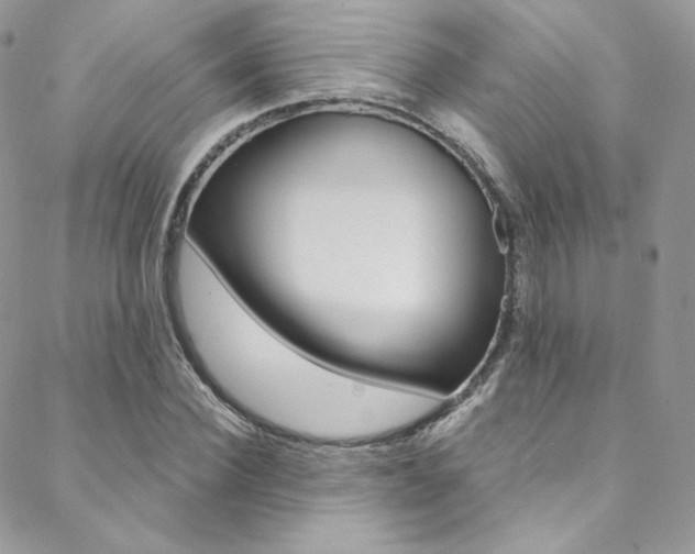 X0000088840924200706071147