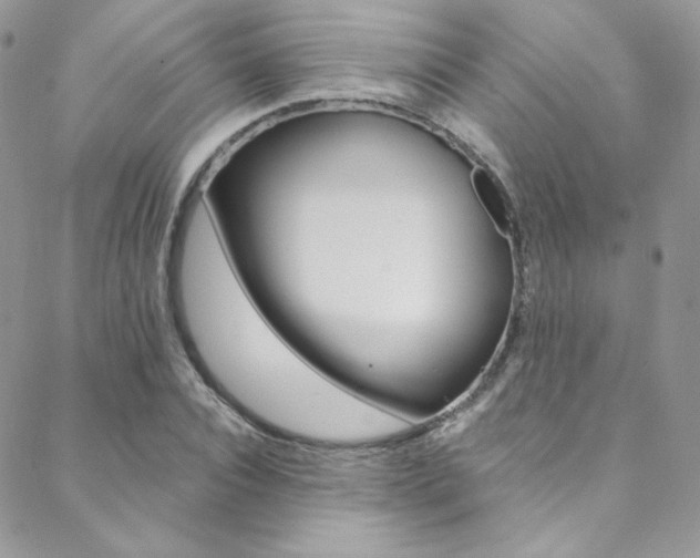 X0000088840928200706071147