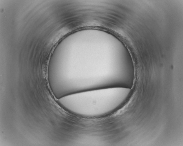X0000088840929200706071147