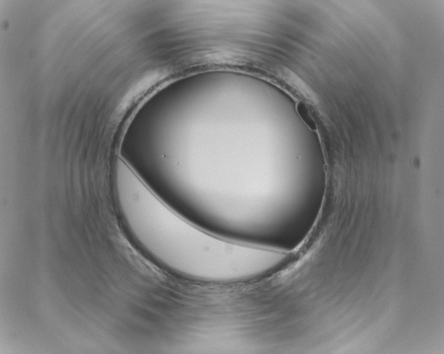 X0000088840930200706071147