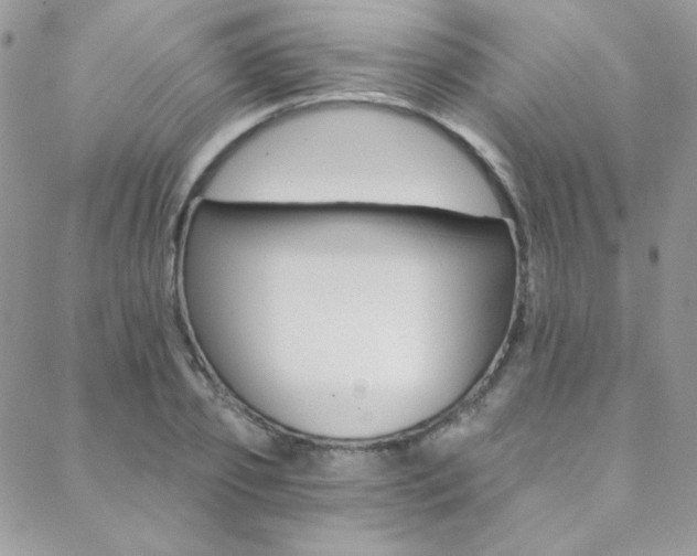 X0000088840933200706071147