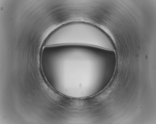 X0000088840935200706071147
