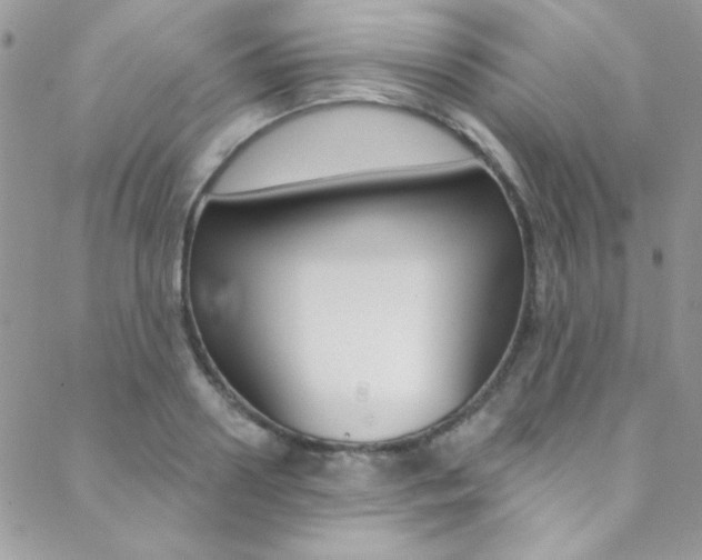 X0000088840938200706071147