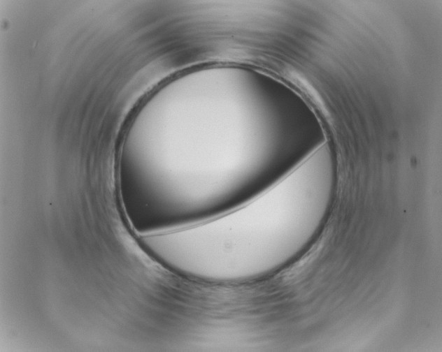 X0000088840939200706071147