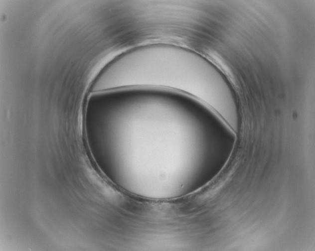 X0000088840940200706071147
