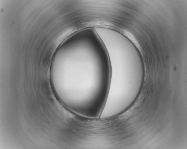 X0000088840946200706071147