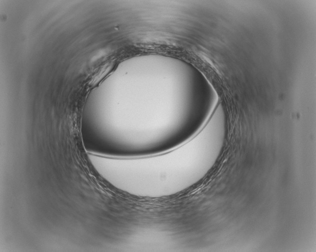 X0000088840965200706071146