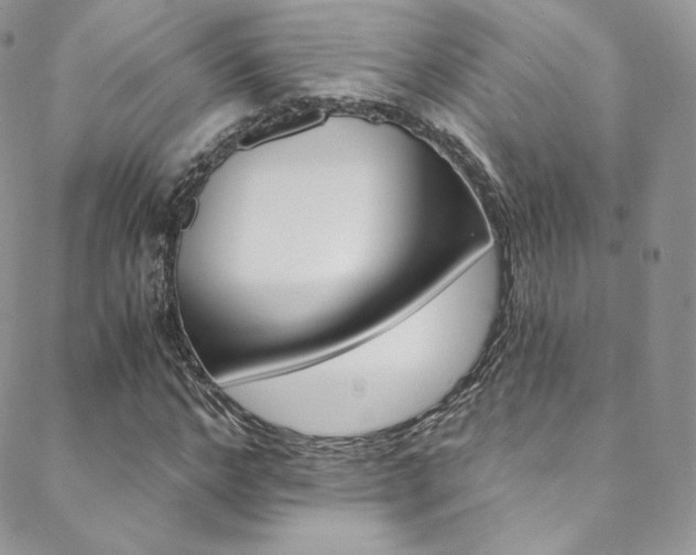 X0000088840968200706071146