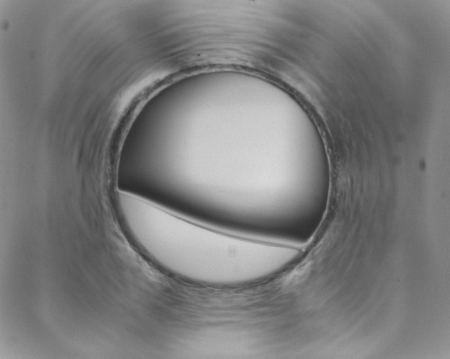 X0000088840979200706071146