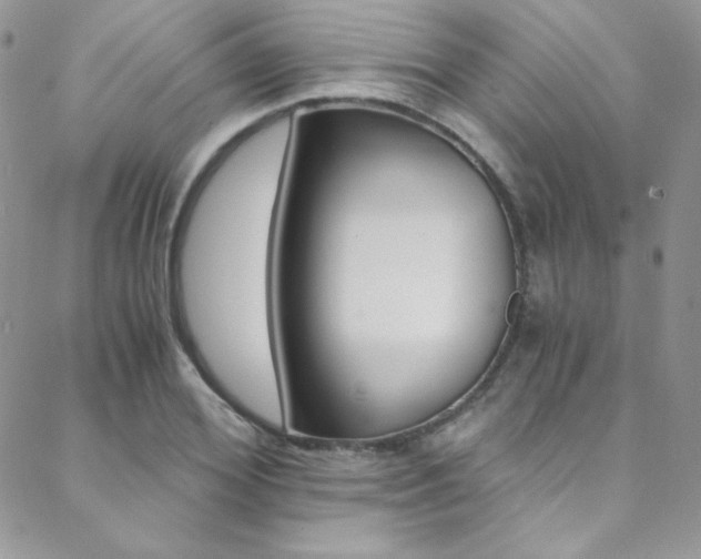 X0000088840980200706071146