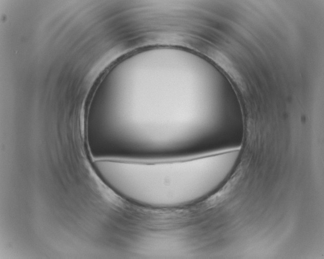 X0000088840988200706071146