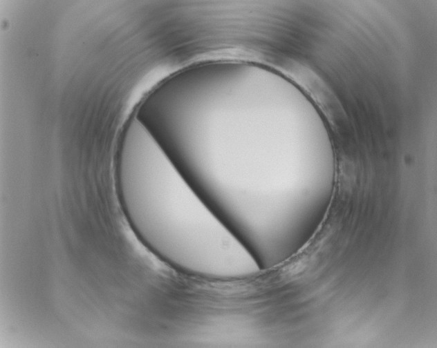 X0000088840998200706071146
