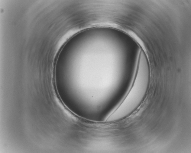 X0000088841005200706071146