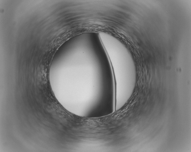 X0000088841013200706071145