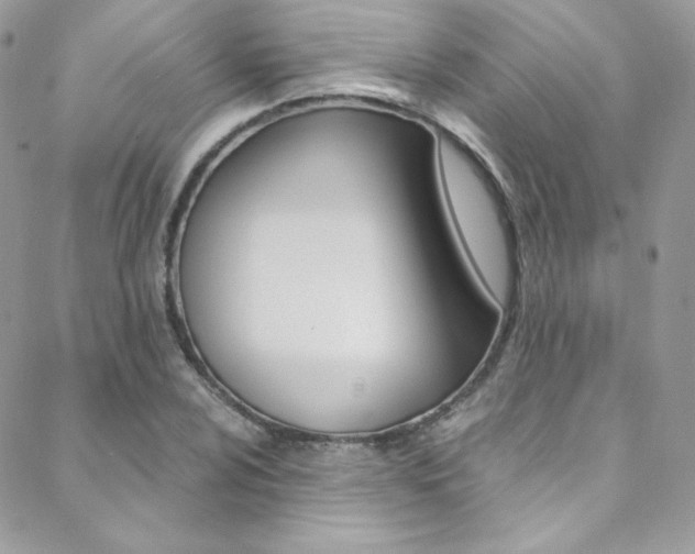 X0000088841024200706071145