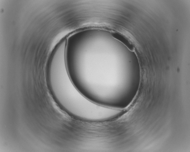X0000088841030200706071145