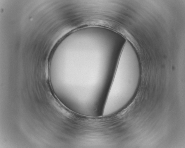 X0000088841036200706071145
