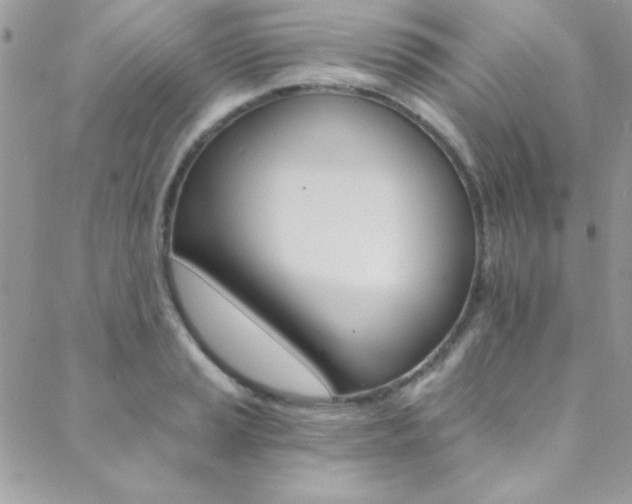 X0000088841037200706071145