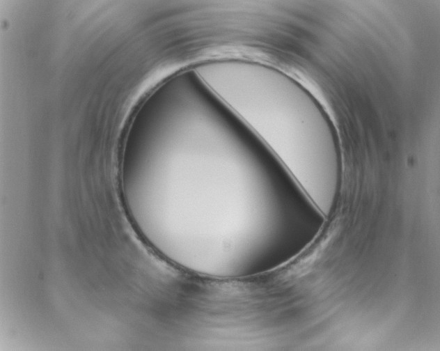 X0000088841045200706071146