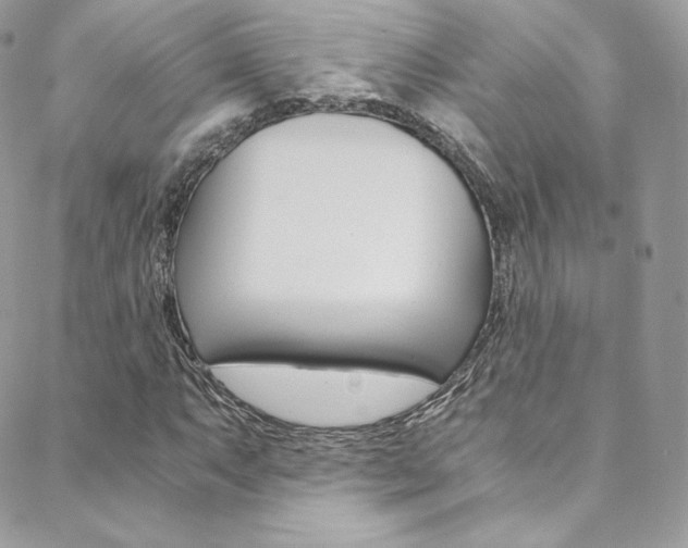 X0000088841063200706071145