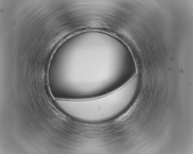 X0000088841065200706071145