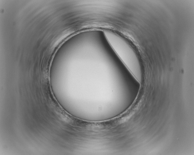 X0000088841073200706071145