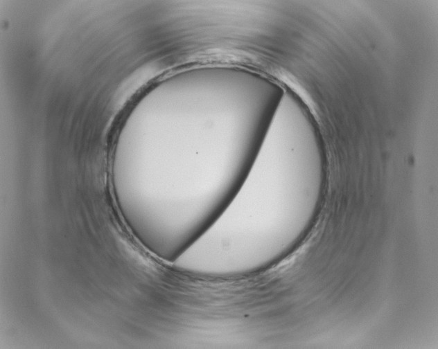 X0000088841075200706071145