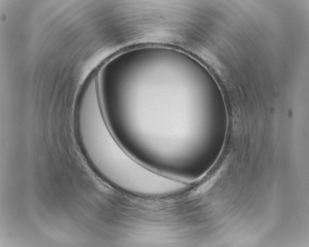 X0000088841077200706071145
