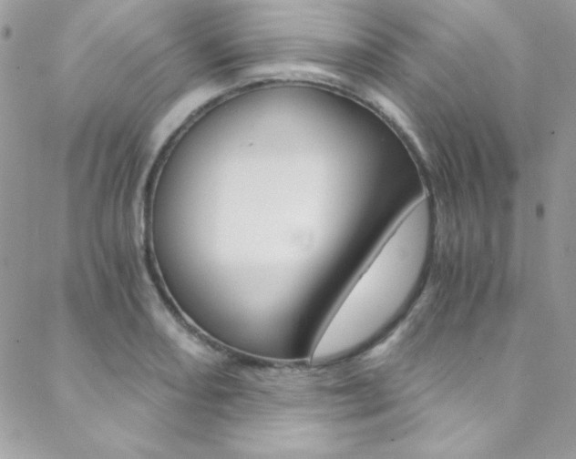 X0000088841082200706071145
