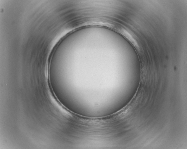 X0000088841084200706071144
