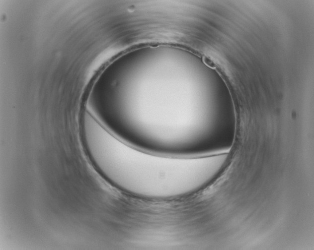 X0000088841085200706071144