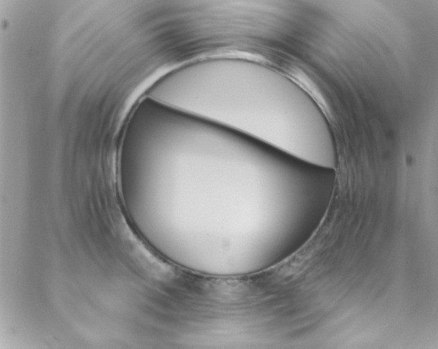 X0000088841092200706071144