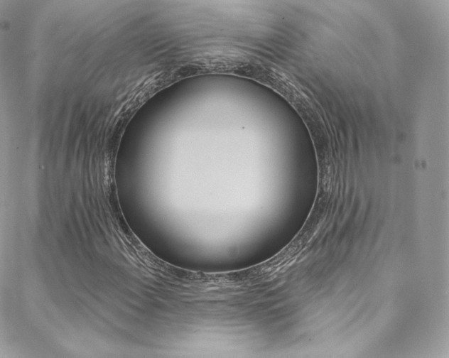 X0000088841108200706071143