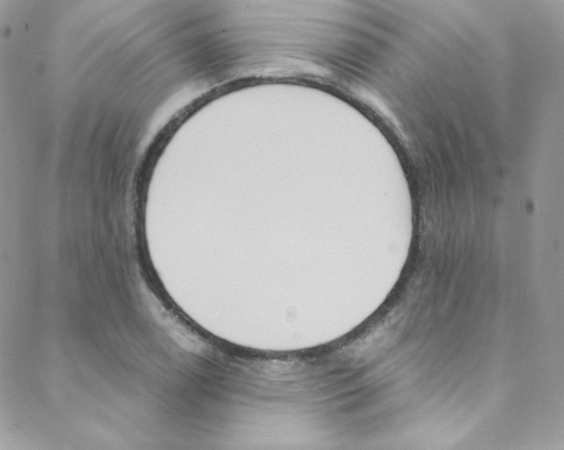 X0000088841122200706071144