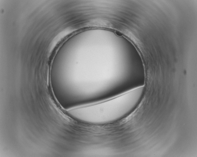 X0000088841123200706071144