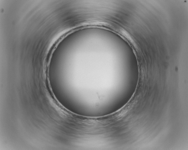 X0000088841124200706071144